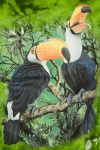Футболка Planet Earth TDFT 852 Toucan