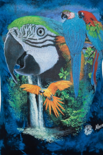 ФУТБОЛКА PLANET EARTH TDFT 853 MACAW