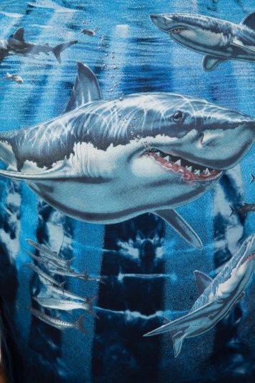 Футболка Churinga MTDSLT 687 White Pointer